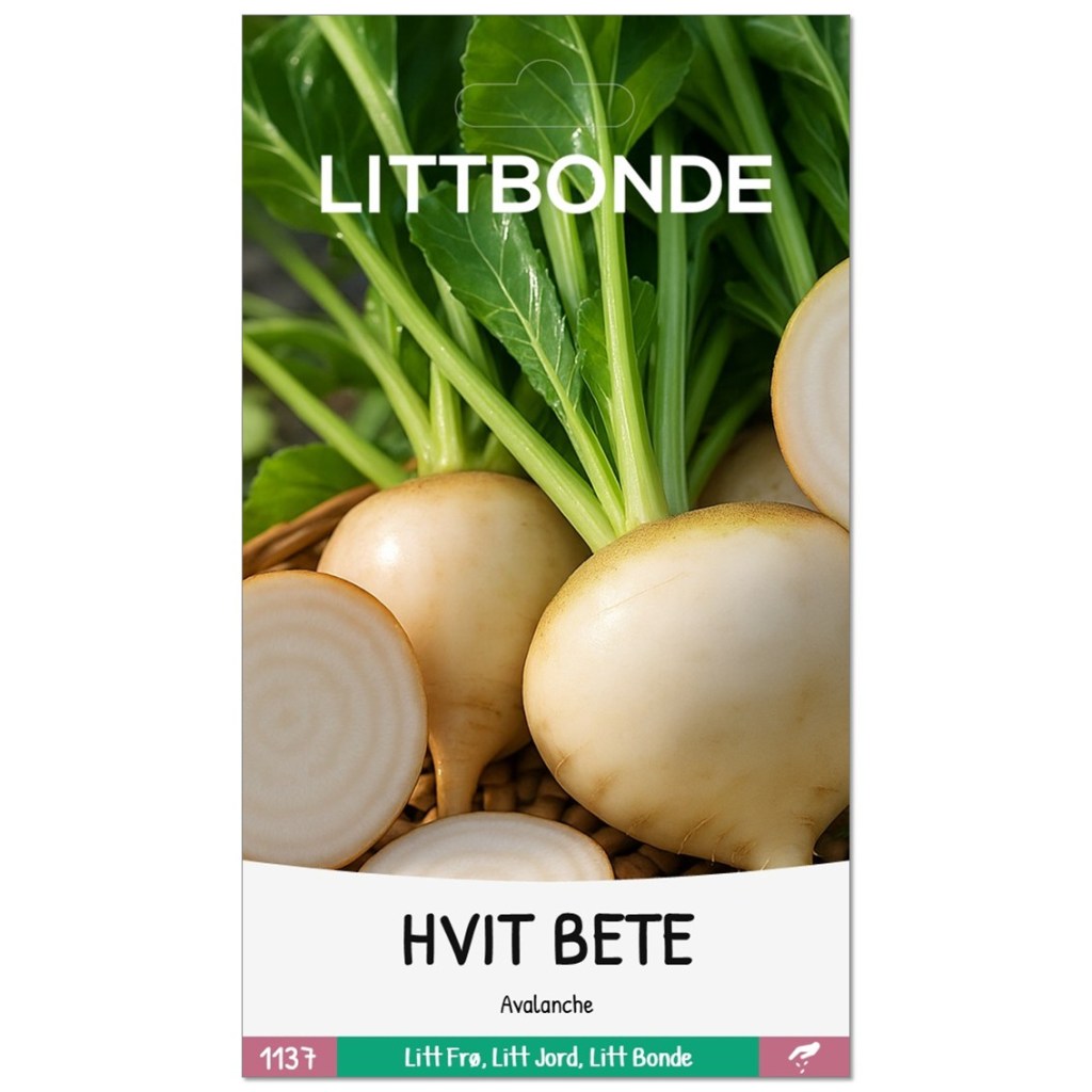 LITTBONDE® HVIT BETE | Avalanche