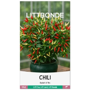 CHILI- BASKET OF FIRE