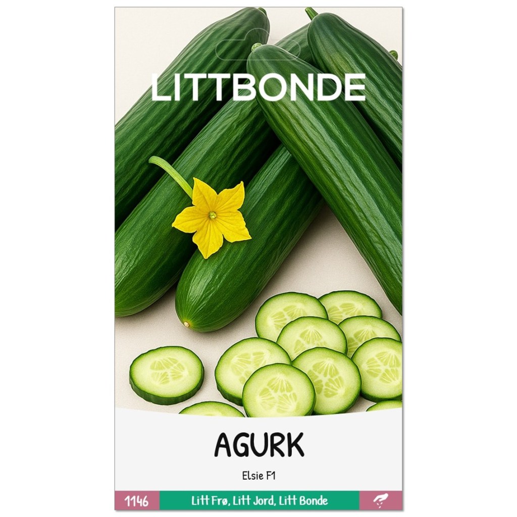 LITTBONDE® AGURK- Elsie F1