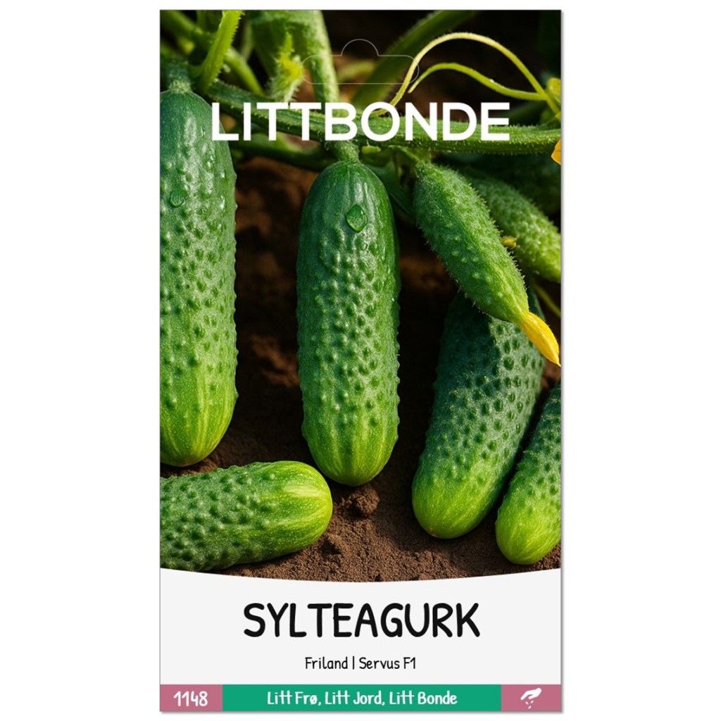 LITTBONDE® SYLTEAGURK- Friland Servus F1
