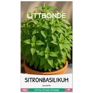 SITRONBASILIKUM-Lemonette