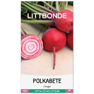 POLKABETE- Chioggia
