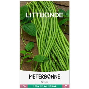 METERBØNNE- Yard long