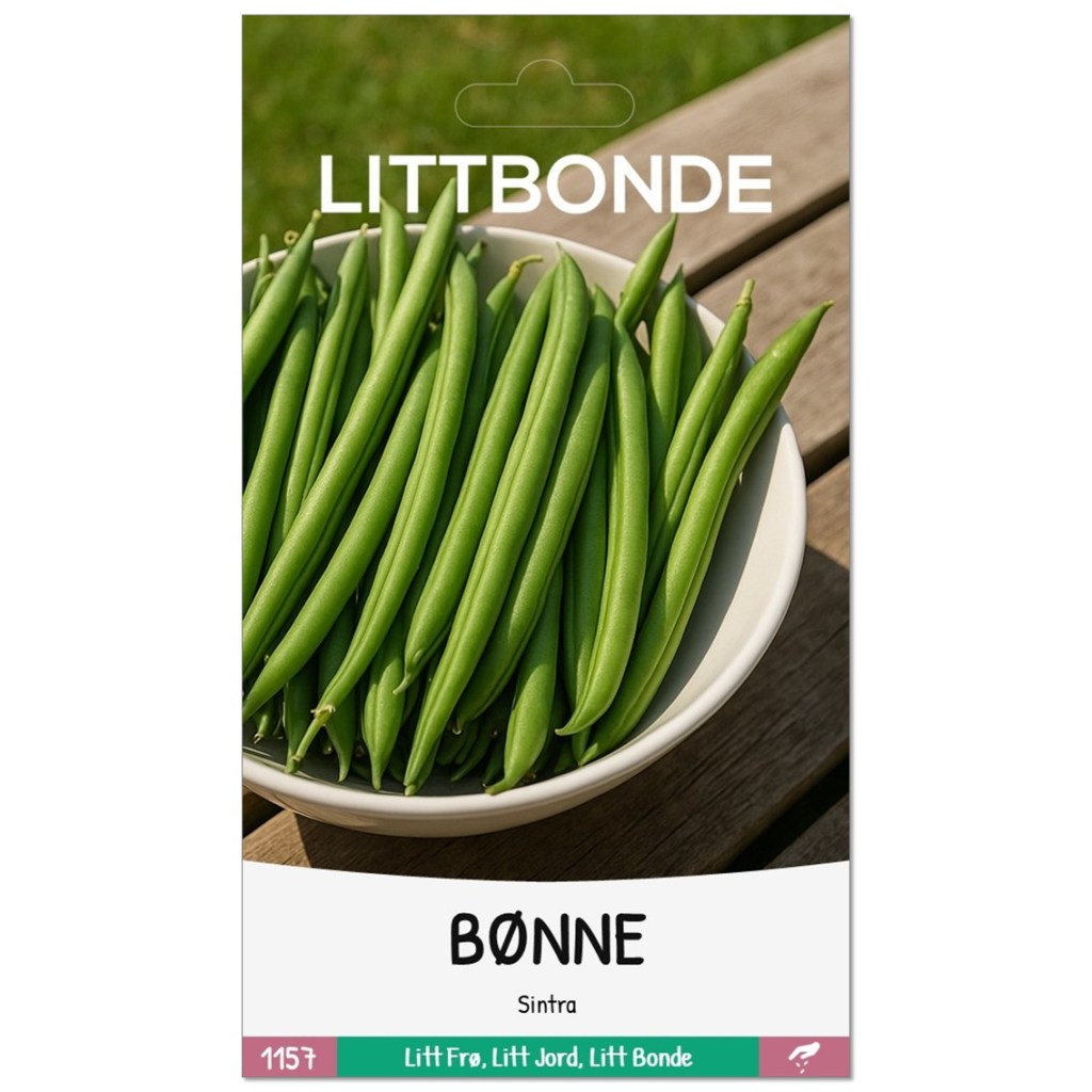 LITTBONDE® BØNNE- Sintra