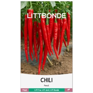 CHILI- Pencil