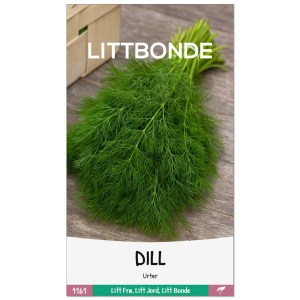 DILL- Urter
