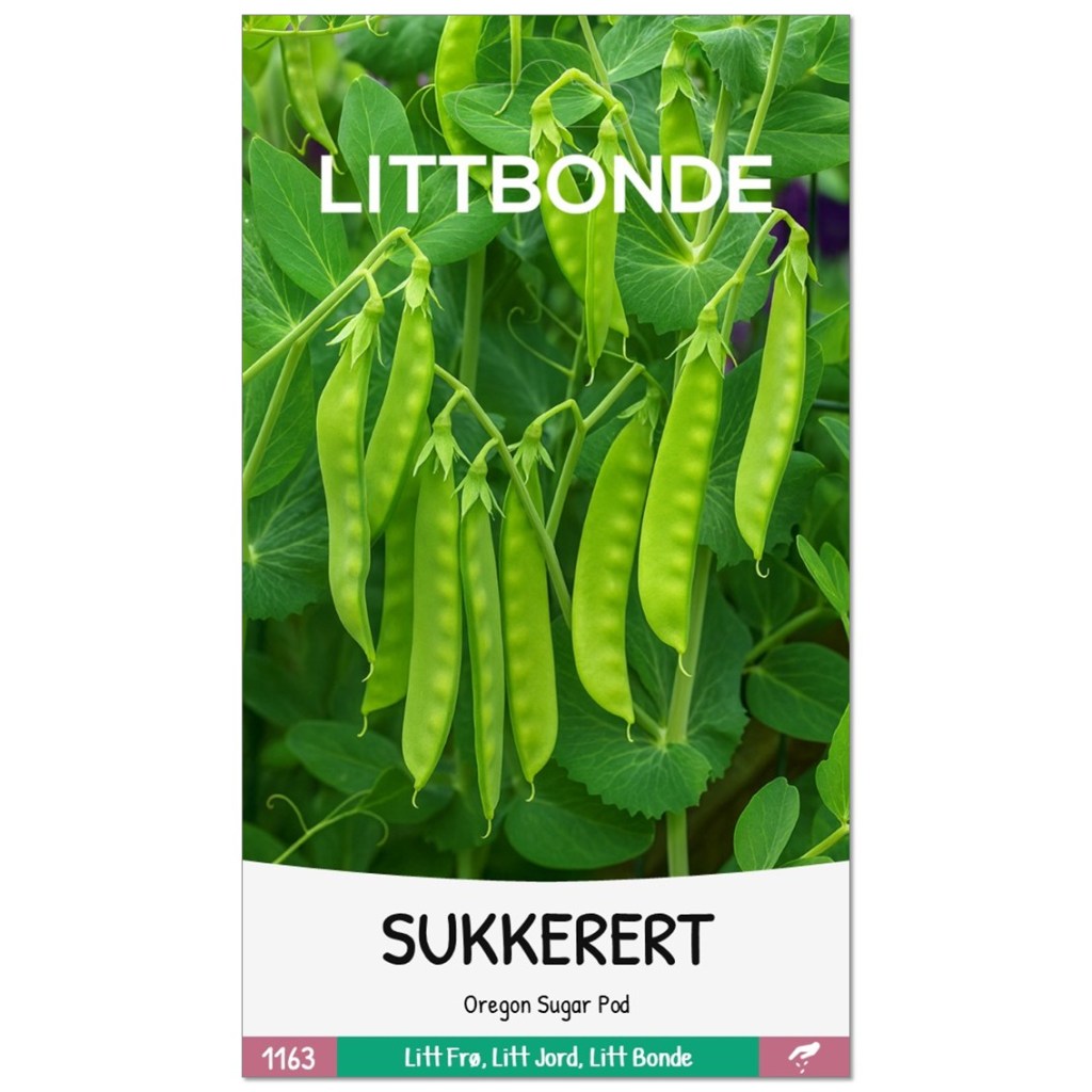 LITTBONDE® SUKKERERT- Oregon Sugar Pod