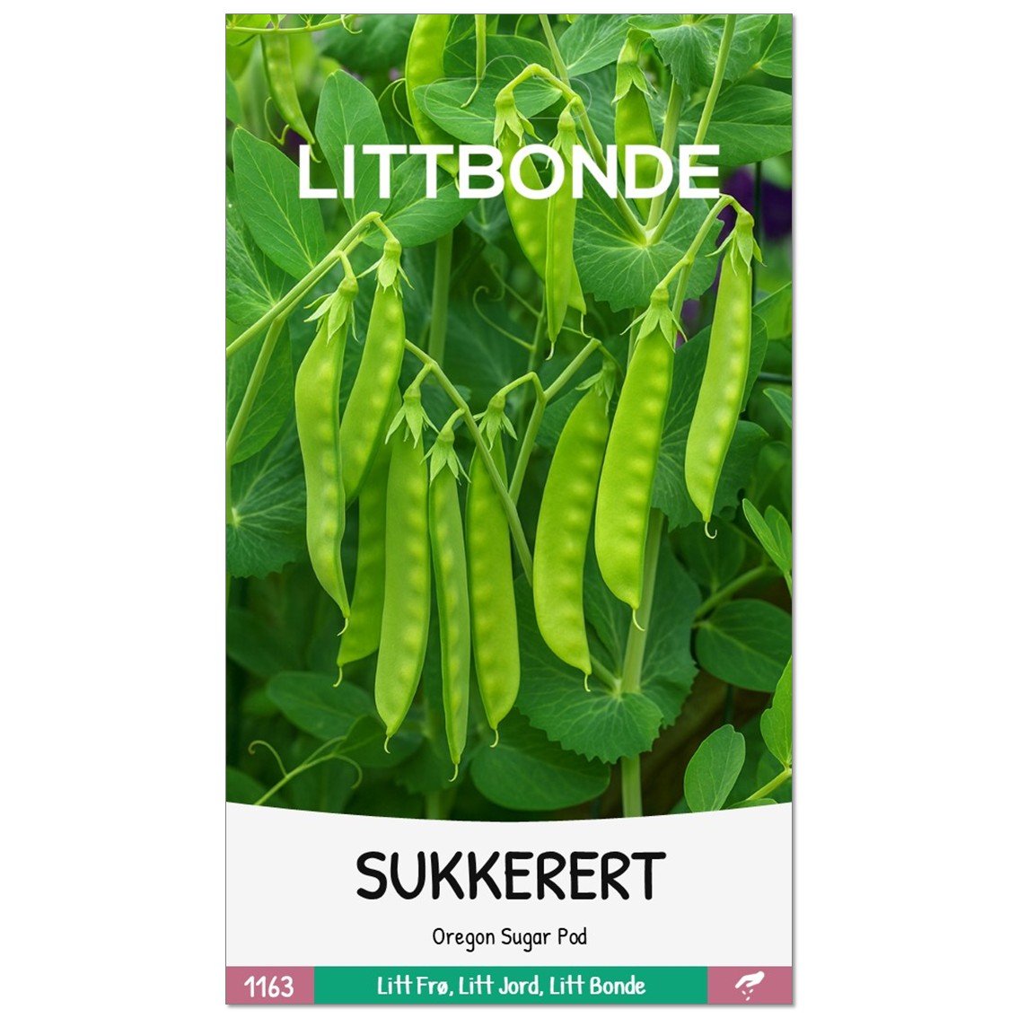 LITTBONDE® SUKKERERT- Oregon Sugar Pod