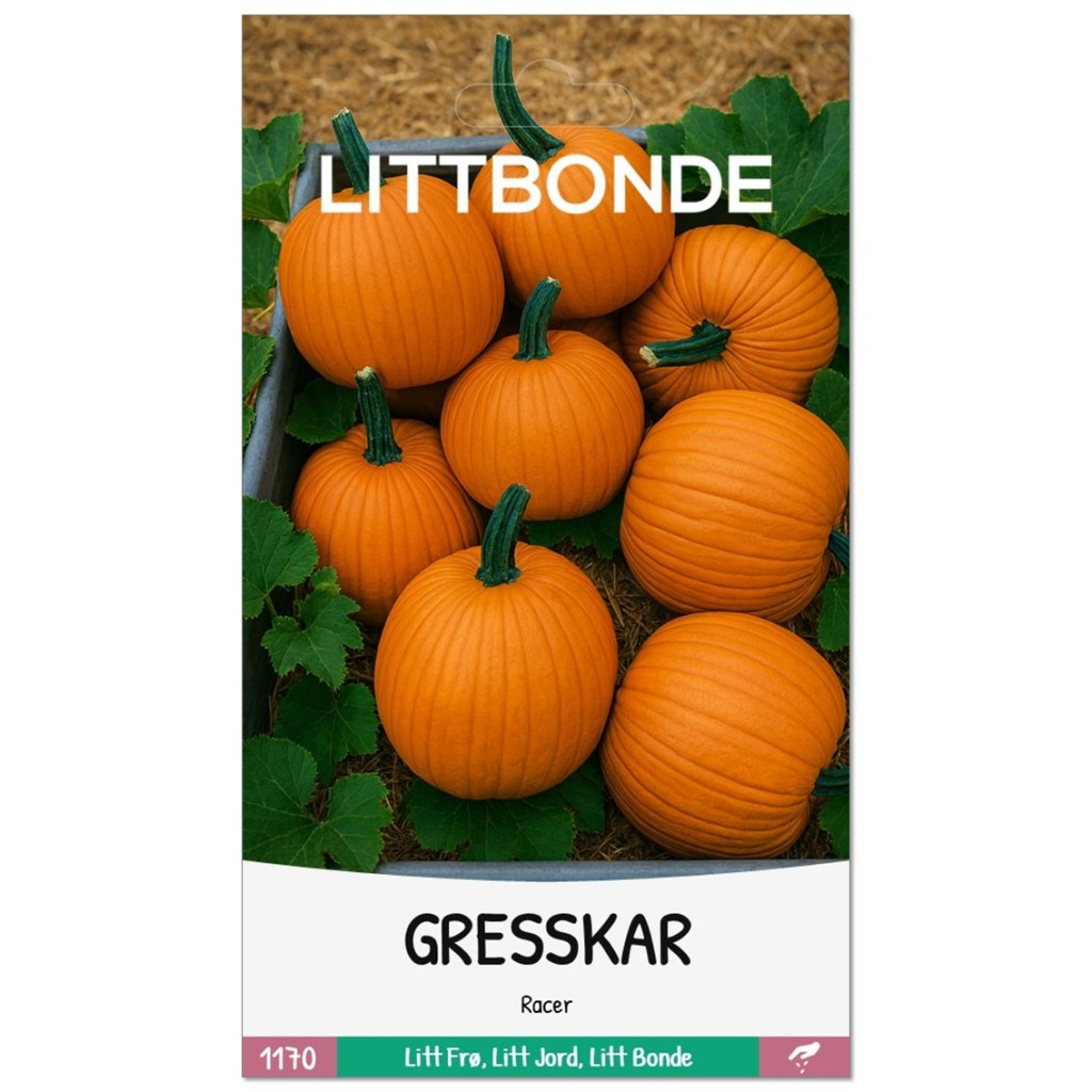 LITTBONDE® GRESSKAR- Racer