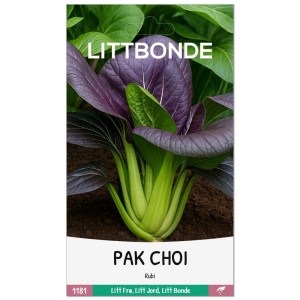 PAK CHOI- Rubi