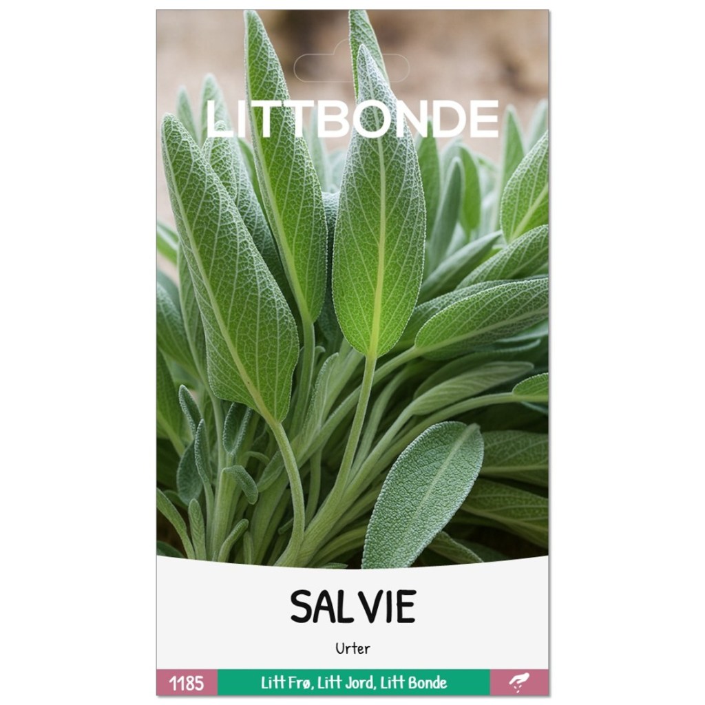 LITTBONDE® Salvie- Urter