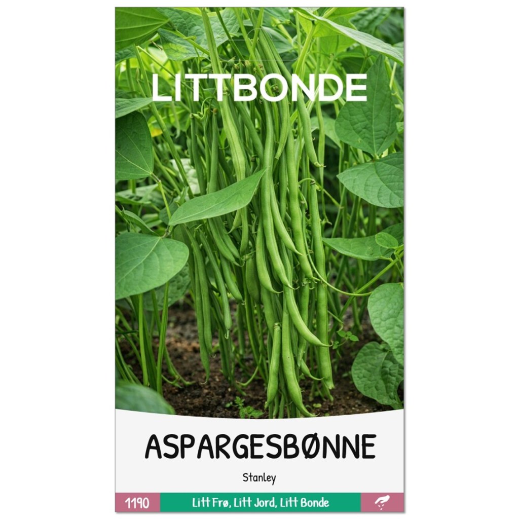 LITTBONDE® ASPARGESBØNNE- Stanley