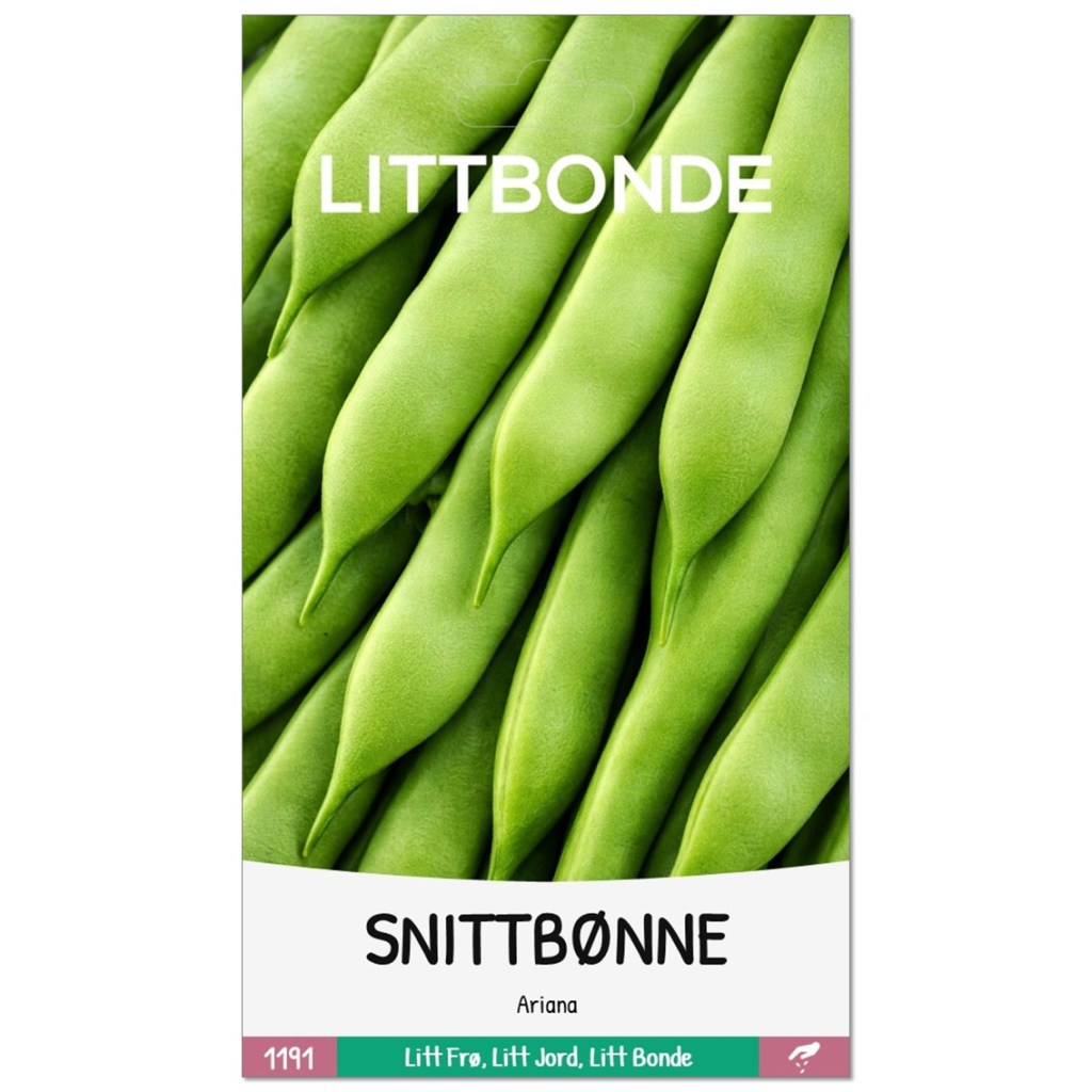 LITTBONDE® SNITTBØNNE- Ariana