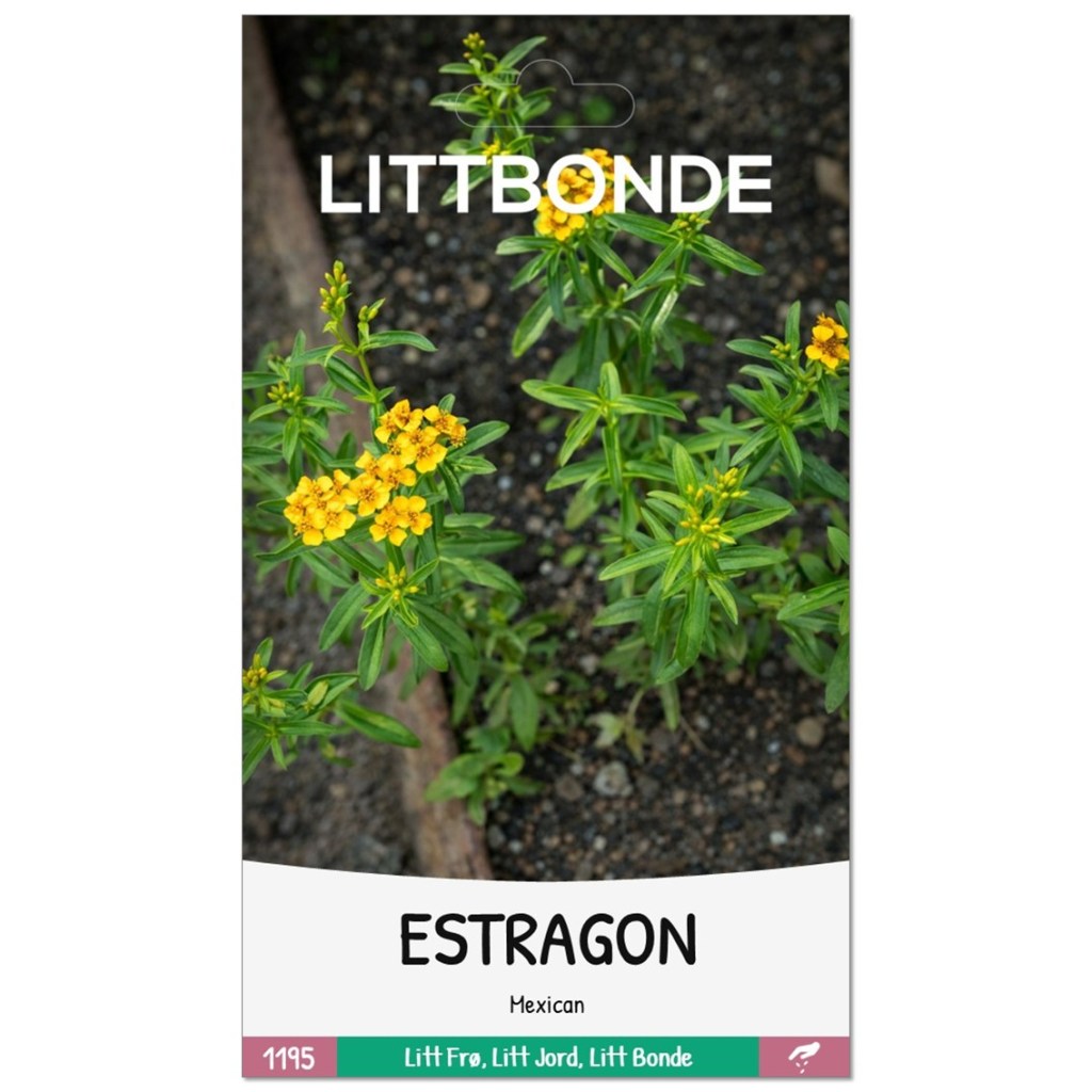 LITTBONDE® ESTRAGON- Mexican