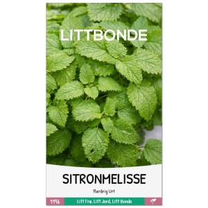 SITRONMELISSE - Flerårig urt