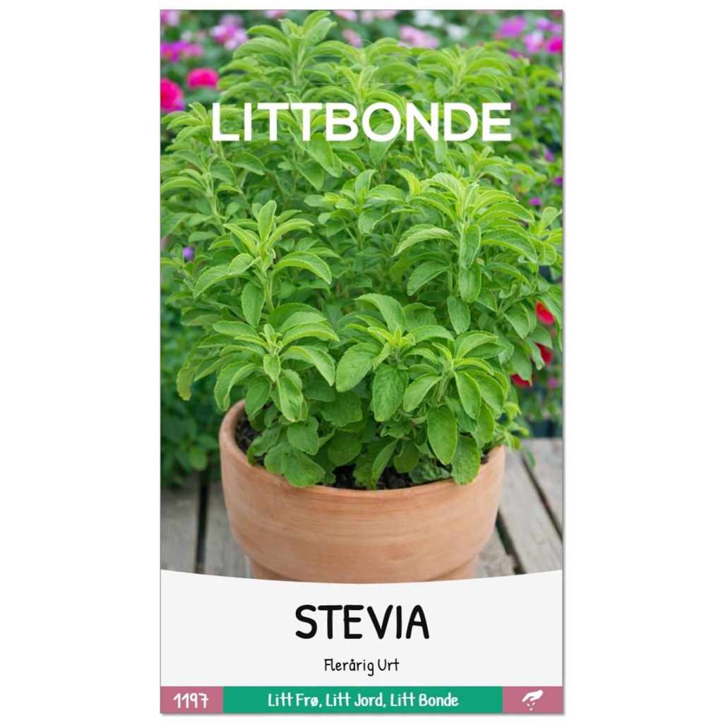 LITTBONDE® STEVIA- Flerårig urt