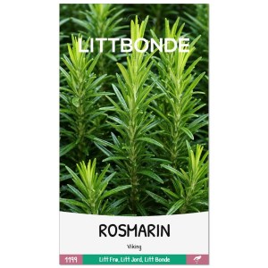 ROSMARIN- Viking