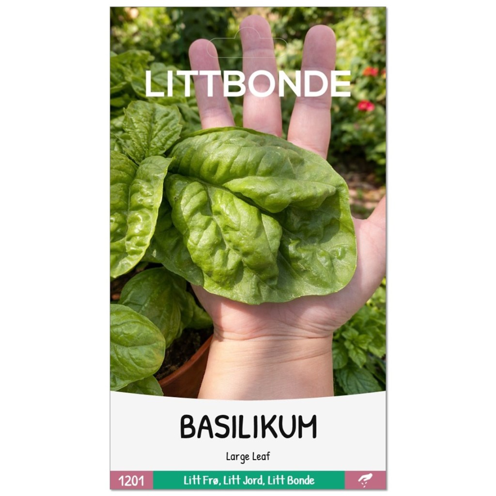 LITTBONDE® BASILIKUM- Large Leaf
