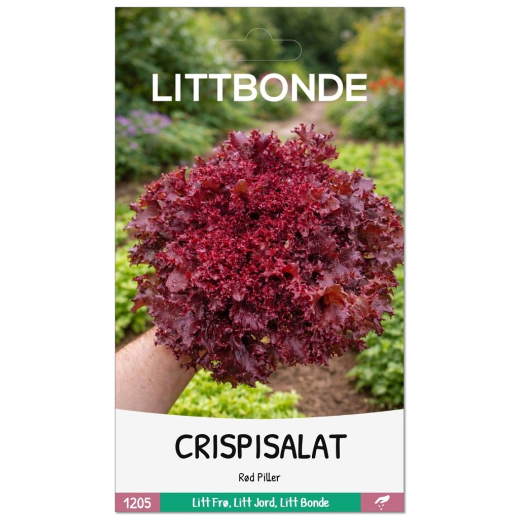 LITTBONDE® CRISPISALAT - Rød