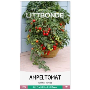 AMPELTOMAT- Tumbling Tom red