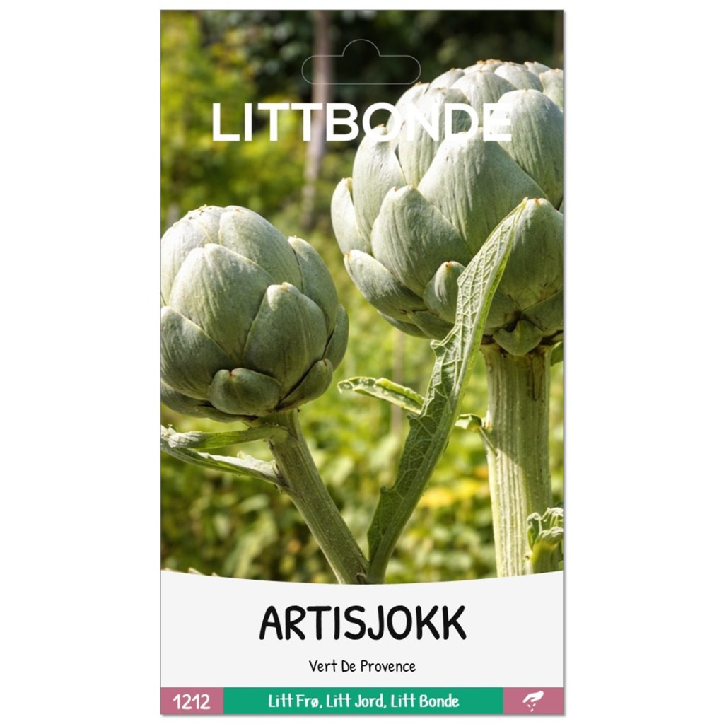 LITTBONDE® ARTISJOKK- Vert De Provence