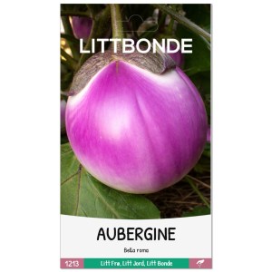 AUBERGINE- Bella roma