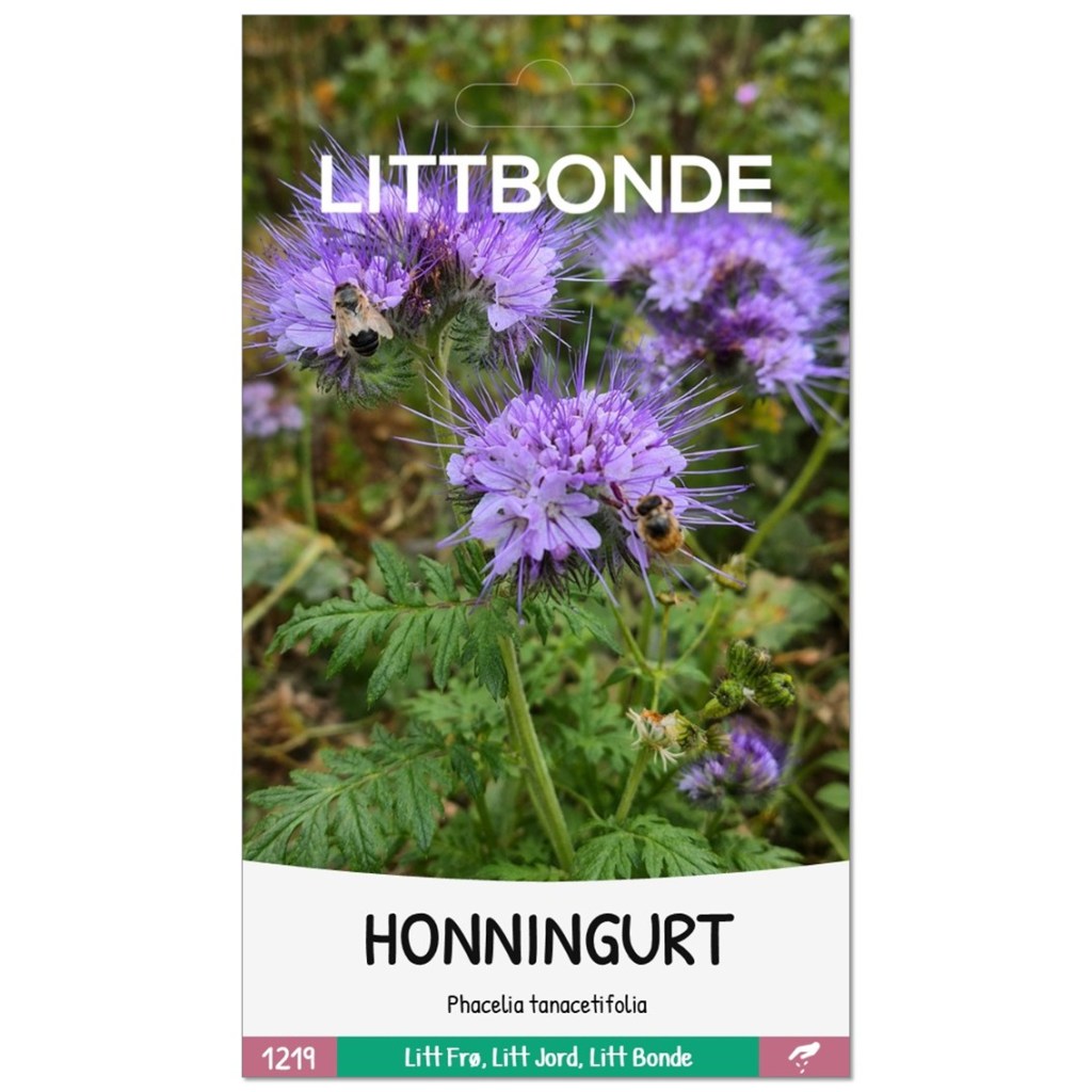 LITTBONDE® HONNINGURT- Phacelia tanacetifolia