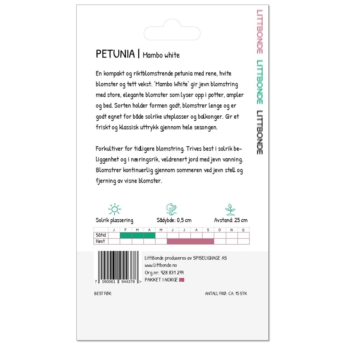 PETUNIA- Mambo white - Bilde 2
