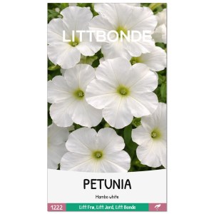 PETUNIA- Mambo white