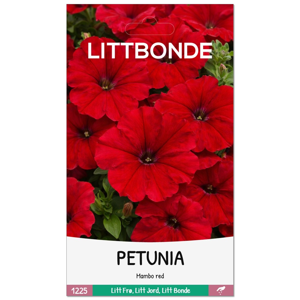 LITTBONDE® PETUNIA- Mambo red