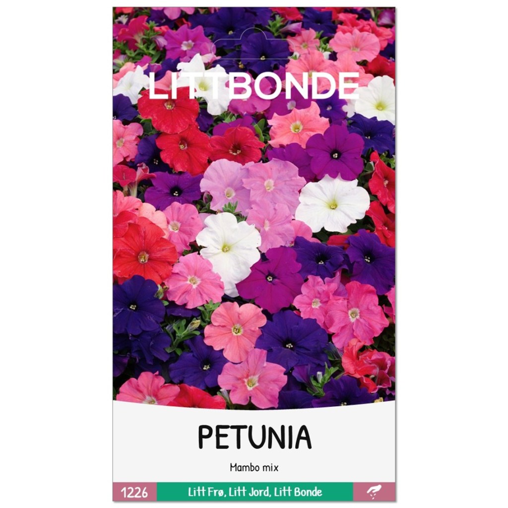 LITTBONDE® PETUNIA- Mambo mix