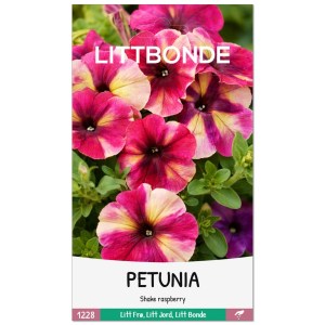 PETUNIA- Shake raspberry