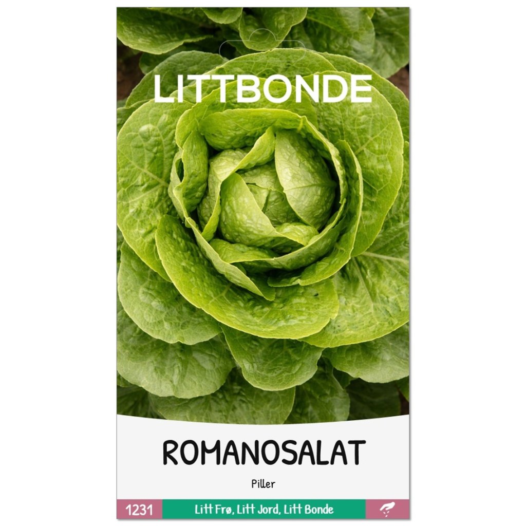 ROMANOSALAT- Piller