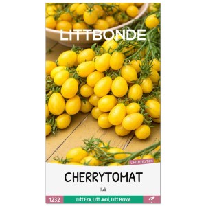 CHERRYTOMAT- Ildi (LIMITED EDITION)