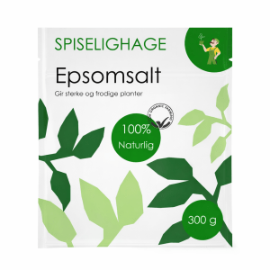 (300 G) EPSOMSALT